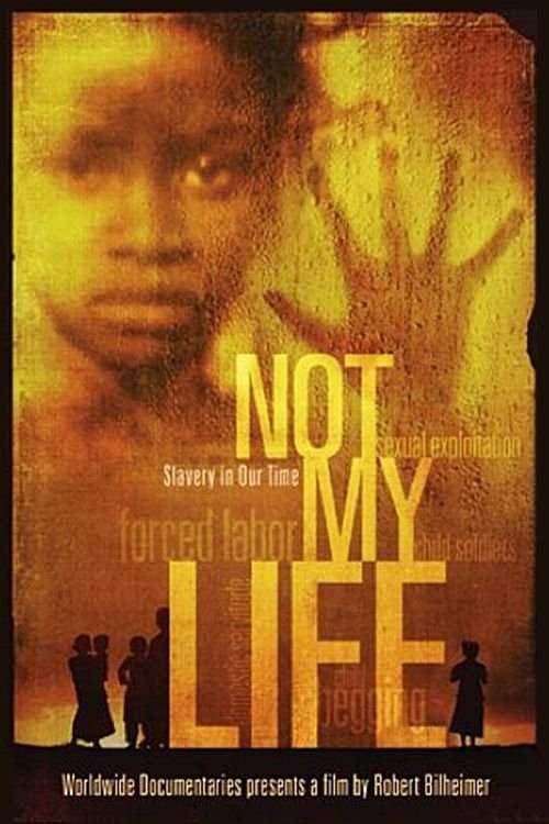 Постер Not My Life
